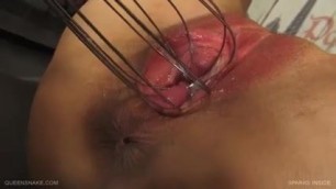 Sparks Inside - Queensnake.com - QueenSect.com
