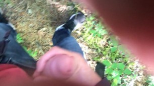 blowjob sw